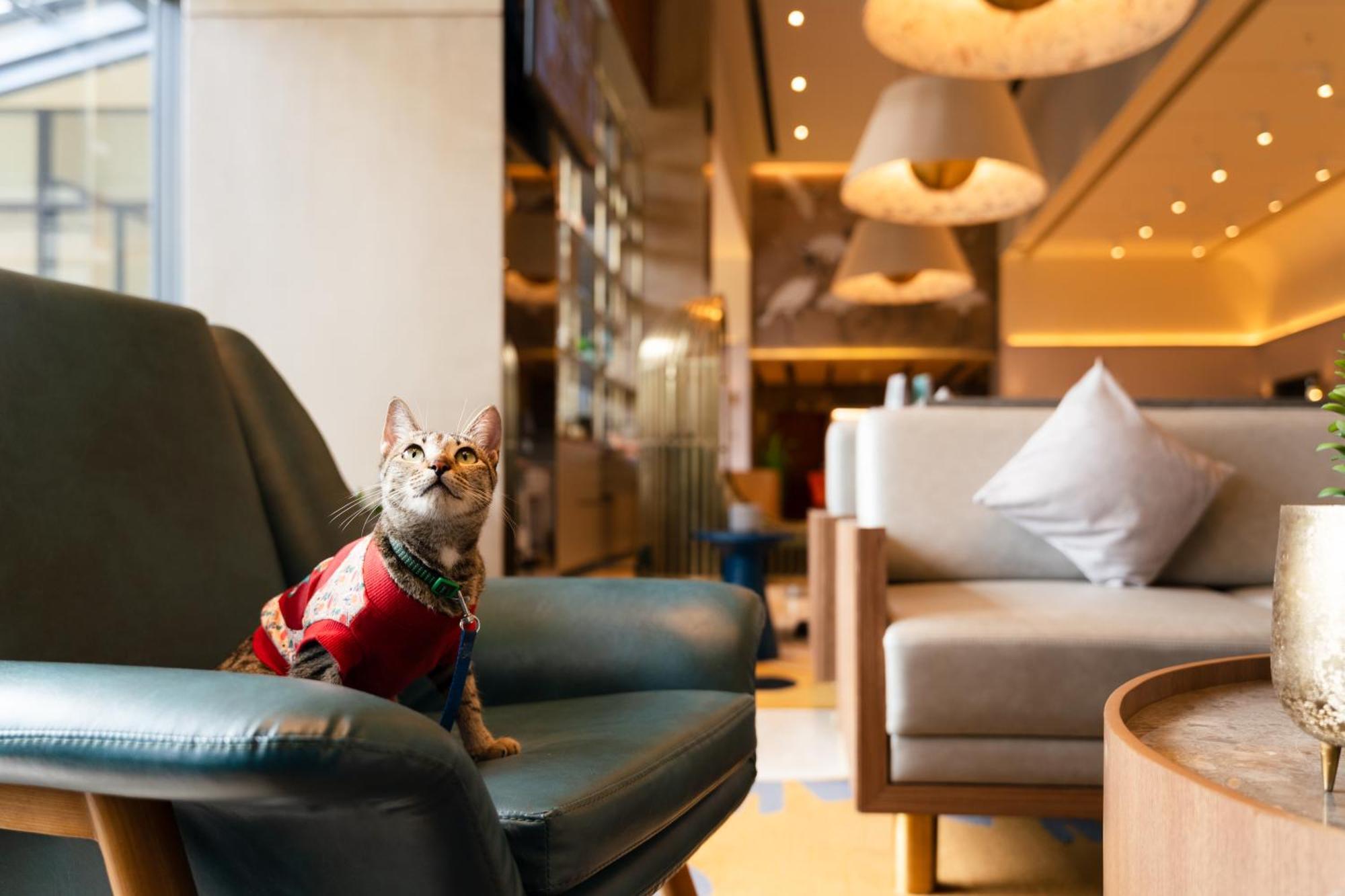 ホテル Ibis Styles Mysuru エクステリア 写真